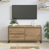 TV staliukas Televizoriaus spintelė Meistrų ąžuolas 100 x 36 x 49.5 cm