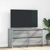 TV staliukas Televizoriaus spintelė, pilka ąžuolo, 100x35x55cm, mediena