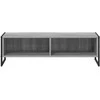TV staliukas Televizoriaus spintelė Pilkas Sonoma 100 x 36.5 x 30.5 cm