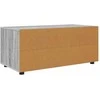 TV staliukas Televizoriaus spintelė Pilkas Sonoma 100 x 48 x 43 cm
