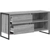 TV staliukas Televizoriaus spintelė Pilkas Sonoma 100 x 36 x 49,5 cm