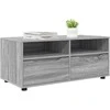 TV staliukas Televizoriaus spintelė Pilkas Sonoma 100 x 48 x 43 cm