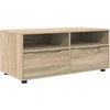 TV staliukas Televizoriaus spintelė 100 x 48 x 43 cm Sonoma ąžuolas