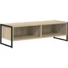 TV staliukas Televizoriaus spintelė Sonoma 100 x 36.5 x 30.5 cm