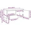 TV staliukas Televizoriaus spintelė 100 x 36 x 49.5 cm Sonoma ąžuolas