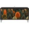 TV staliukas Televizoriaus spintelė ZAANDAM 102 x 33 x 51 cm Juodojo ąžuolo