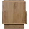 TV staliukas Televizoriaus stovas 60 x 34,5 x 40 cm Artisano ąžuolo