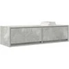 TV staliukas Televizoriaus spintelė Betono pilka 100 x 31 x 25,5 cm