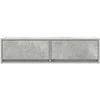 TV staliukas Televizoriaus spintelė Betono pilka 100 x 31 x 25,5 cm