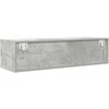 TV staliukas Televizoriaus spintelė Betono pilka 100 x 31 x 25,5 cm