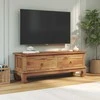 TV staliukas Televizoriaus stovas su stalčių Natūrali 110 x 35 x 40 cm
