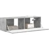 TV staliukas TV sieninė spintelė Betoninė 98 x 31 x 29,5 cm Apdirbta mediena