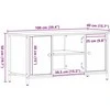 TV staliukas Televizoriaus spintelė 100 x 40 x 50 cm Sena mediena