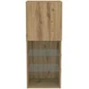 TV staliukas TV spintelių komplektas Amatininkų ąžuolas 40,5 x 30 x 102 cm