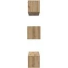 TV staliukas TV spintelių komplektas 6 pcs Amatininkų ąžuolas