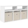 TV staliukas Žemas stalas su stalčių Balta 72 x 22,5 x 38 cm
