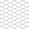 Hexagonal Fence with Post 10 x 0,4 m PVC dengtas plienas Žalia