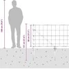 Tvorelės stulpas Cinkuotas 25 x 0,8 m Plienas