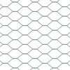 Hexagonal Fence with Post 10 x 1,4 m PVC dengtas plienas Žalia