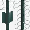 Hexagonal Fence with Post 10 x 1,6 m PVC dengtas plienas Žalia