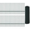 Hexagonal Fence with Post 100 x 0,8 m PVC dengtas plienas Žalia