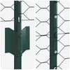 Hexagonal Fence with Post 25 x 1,6 m PVC dengtas plienas Žalia