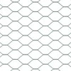 Hexagonal Fence with Post 10 x 1,6 m PVC dengtas plienas Žalia