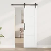 us durys Balta 61 x 198,5 cm fanera