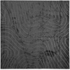 Vidaus ir lauko kilimas PALMERAS Antracitas 200 x 200 cm