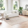 Vidaus ir lauko kilimas PALMERAS Smėlio 240 x 240 cm