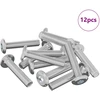 Užrakinimo varžtas 12 vnt. Sidabrinė M6 x 30 mm Plienas