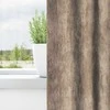 Aksominio tipo užuolaidos 2 pcs šampano 245 x 140 cm Aksomas