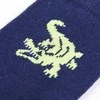 Vaikiškos kojinės, 5 poros, EU 26–29