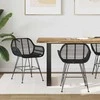 Valgomasis krėslas 2 pcs Ratanas ir Geležis Juoda