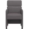 Valgomojo Kėdės su Ratukais 2 pcs Pilka 58 x 65 x 98 cm