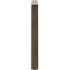 Valgomojo stalo kojelės, V formos, 3 vnt., natūralus plienas, 100 x (72-73,3) cm, plienas