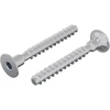 Varžtas 2 vnt. Cinkuota 5 x 40 mm Geležis