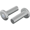 Varžtas 2 vnt. Sidabro 8 x 25 mm Plienas