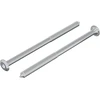 Varžtas 2 vnt. Sidabro M6 x 100 mm Plienas