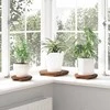 Vazonų stalas 3 pcs Ruda Mahogany Medis