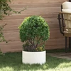 Vazonų žiedas Balta 30 x 30 x 20 cm Šaltai valcuotas plienas