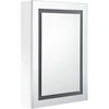 Veidrodinė vonios spintelė su LED, balta, 50x13x70cm, blizgi