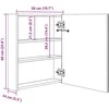 Veidrodinė vonios spintelė su LED, betono pilka, 50x14x60cm