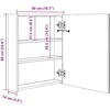 Veidrodinė vonios spintelė su LED, pilka, 50x14x60cm, blizgi