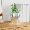 Veidrodis mozaikos plytelė 12 pcs Sidabro 100 x 4 cm Stiklas
