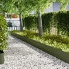 Vejo kraštas 30 pcs Alyvuogių žalia 100 x 0,05 x 30 cm