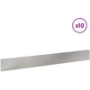 Vejo kraštas 10 pcs 100 x 12 cm Plienas Sidabrinė