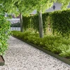 Vejo kraštas 20 pcs 103 x 15 cm Plienas Alyvuogių žalia
