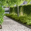 Vejo kraštas 50 pcs 103 x 10 cm Plienas Alyvuogių žalia