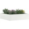 Vejo kraštas 6 pcs Balta 50 x 50 x 13 cm Plienas